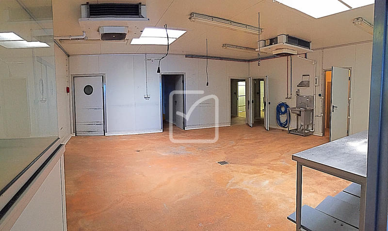 Local commercial - 350 m²