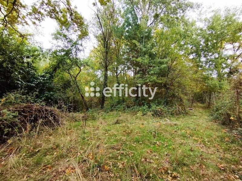 Terrain constructible - 1 419 m²
