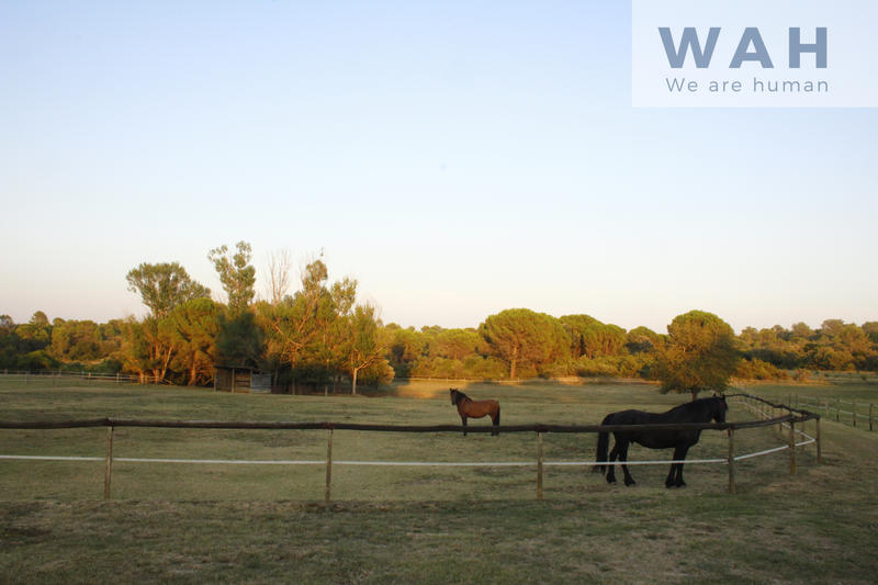 Propriété - 168 m² - 4 pièces