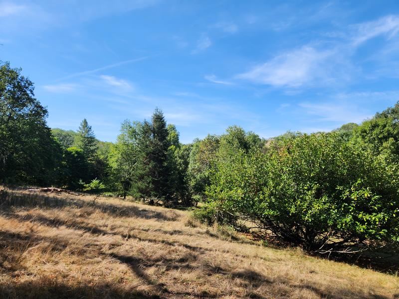 Propriété - 250 m² - 8 pièces