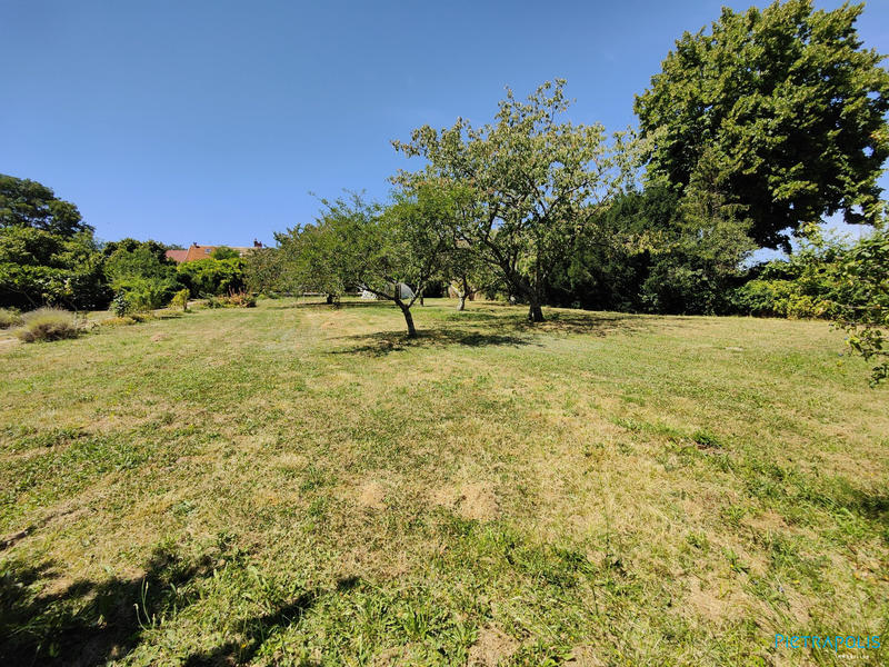 Terrain - 2 771 m²