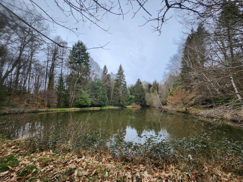 Terrain de loisirs - 32 670 m²