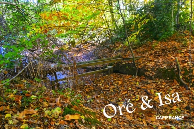 Terrain - 49 655 m²