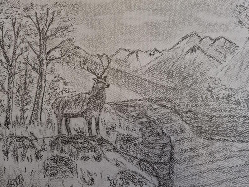 Exposition de peintures - Sonia Lefort, entre trait et couleur