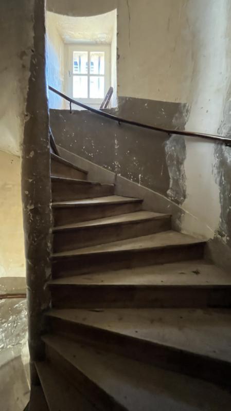 Hôtel particulier - 350 m² - 13 pièces