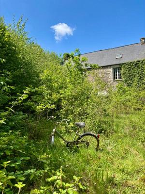 Maison - 300 m² - 5 pièces