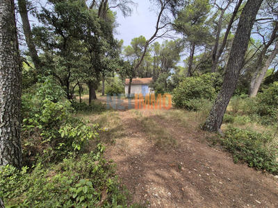 Terrain de loisirs - 936 m²