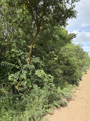 Terrain de loisirs - 3 800 m²