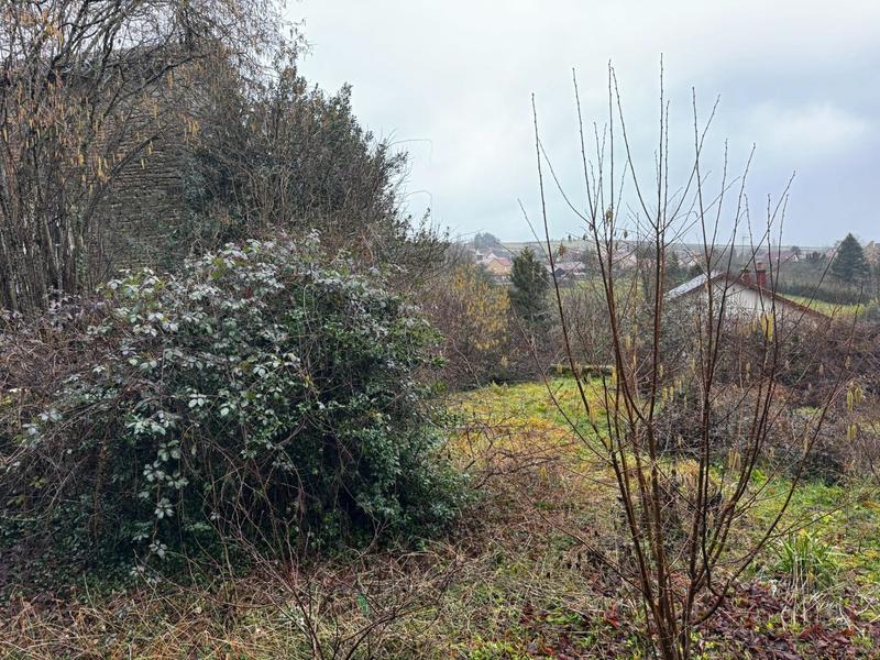 Maison - 185 m² - 10 pièces