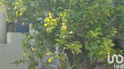 Maison - 159 m² - 4 pièces