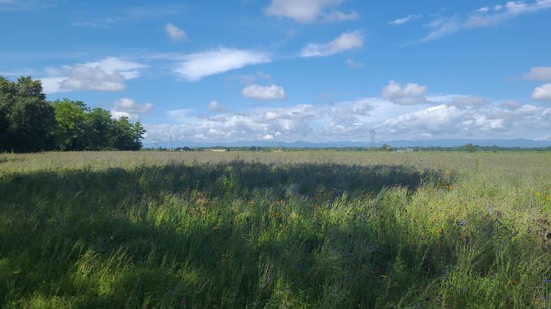 Randonnée pédestre