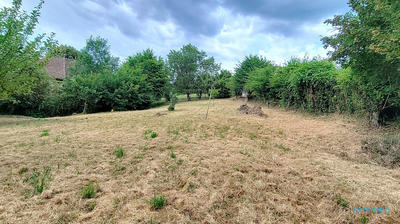 Terrain - 981 m²