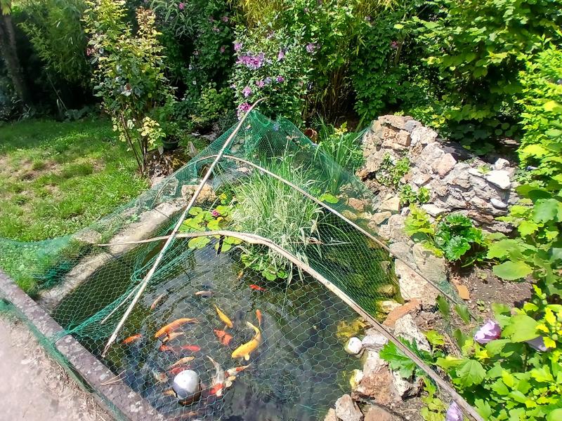 Maison ancienne - 122 m² - 6 pièces