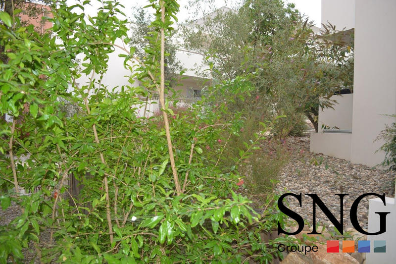 Appartement - 24 m² - 1 pièce