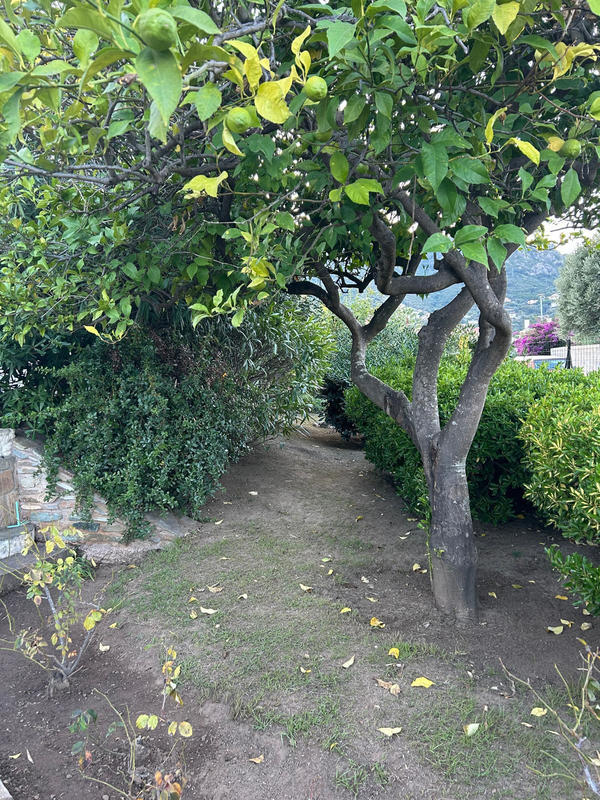 Maison - 115 m² - 4 pièces