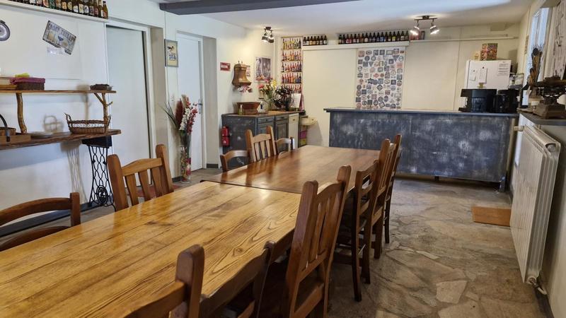 Maison - 300 m² - 11 pièces