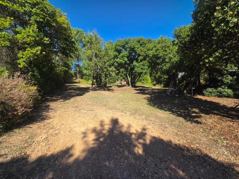 Maison - 153 m² - 6 pièces