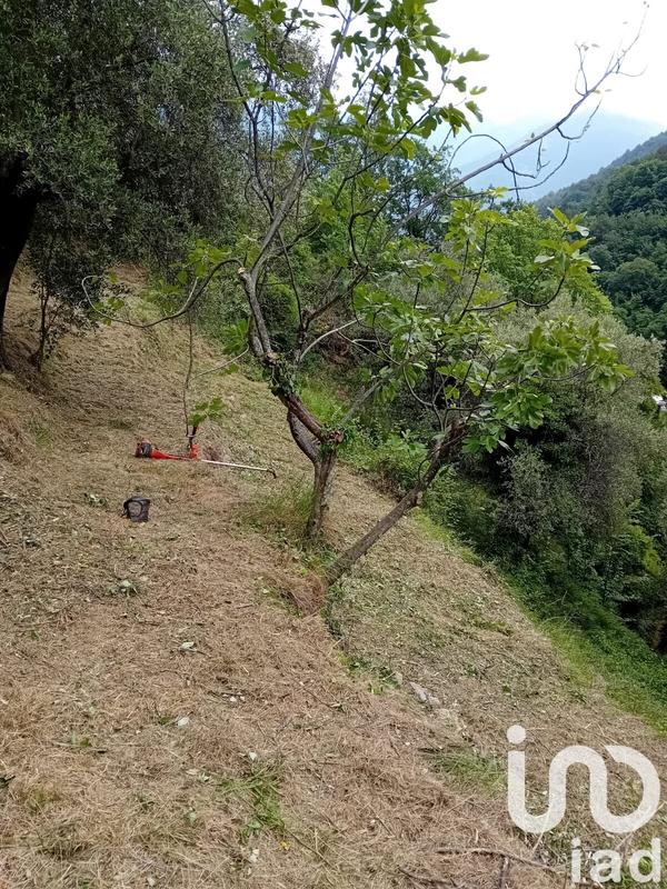 Terrain agricole - 9 300 m²