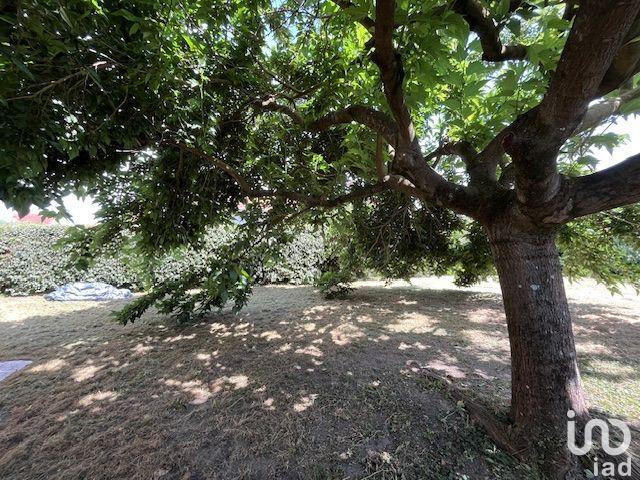 Maison - 103 m² - 5 pièces