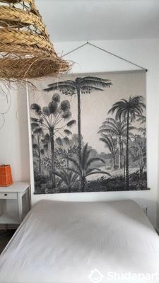 Appartement - 45 m² - 2 pièces