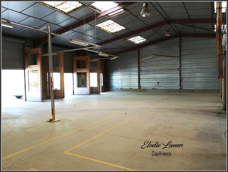 Bureau - 569 m² - 8 pièces