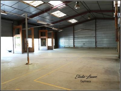 Bureau - 569 m² - 8 pièces