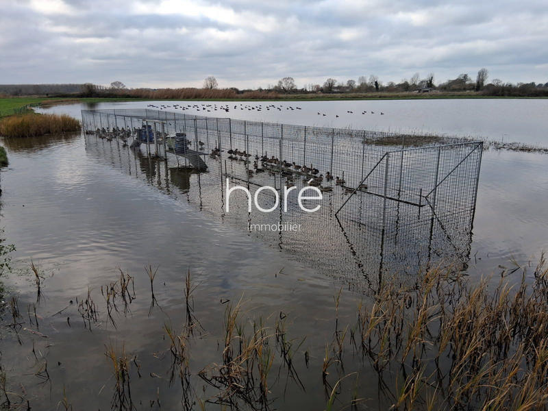 Terrain de loisirs - 87 559 m²