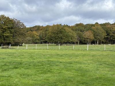 Maison de domaine équestre - 110 m² - 6 pièces