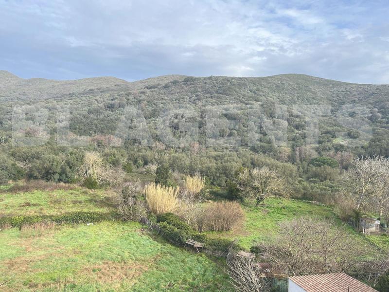 Appartement - 100 m² - 5 pièces