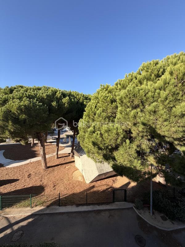 Studio - 24 m² - 1 pièce