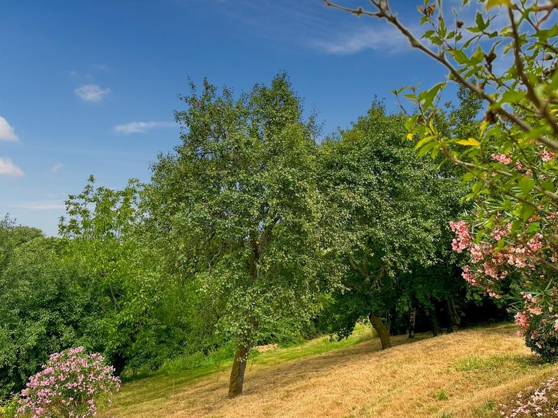 Maison - 116 m² - 5 pièces