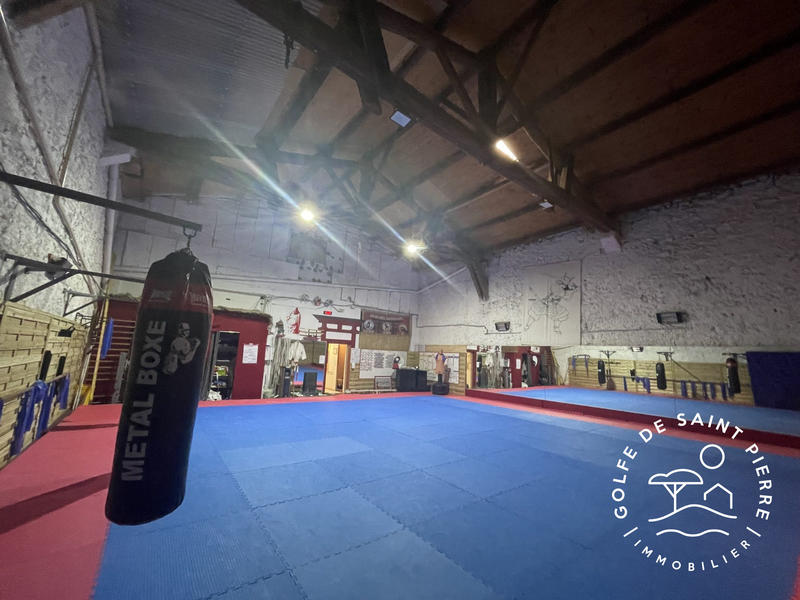 Maison ancienne - 307 m² - 9 pièces