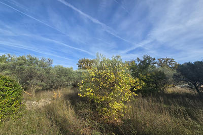 Terrain - 650 m²