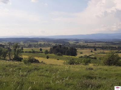 Terrain - 16 500 m²