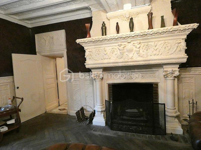 Château - 361 m² - 10 pièces