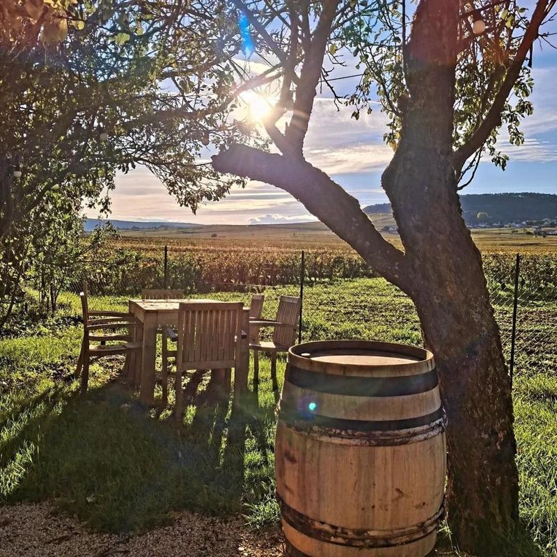 Local commercial - 1 444 m² - 4 pièces