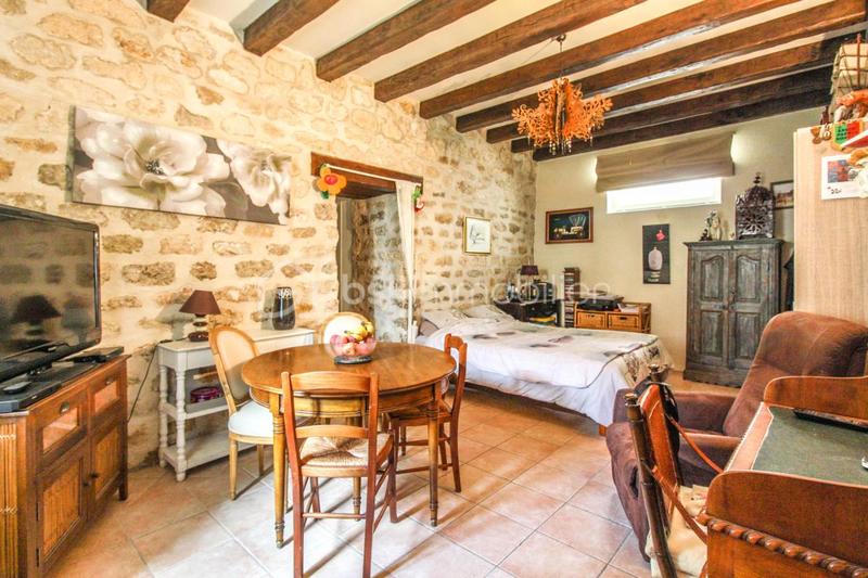 Maison en pierre - 529 m² - 9 pièces