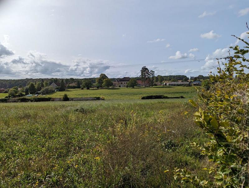 Château - 1 400 m² - 23 pièces