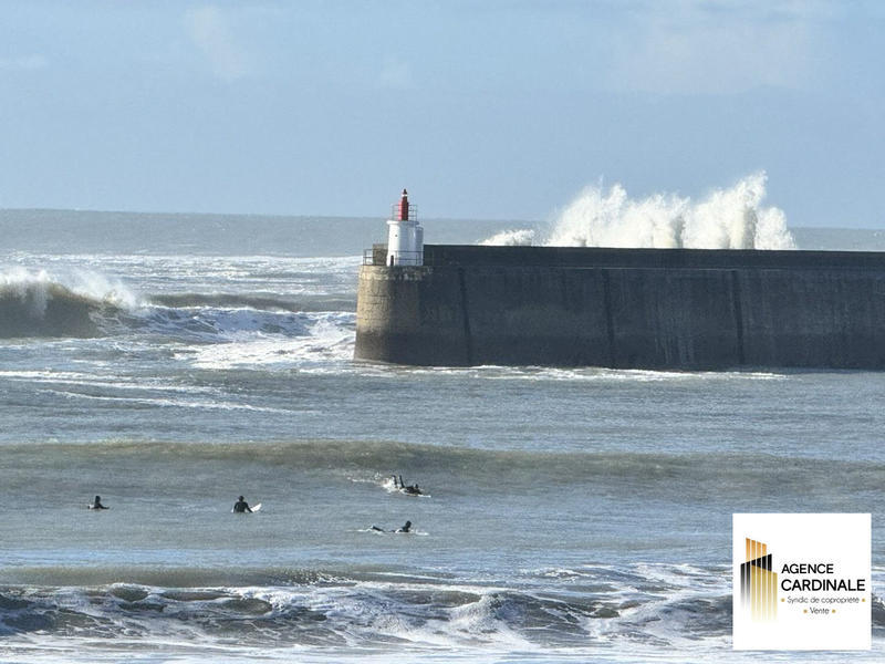 Appartement - 56 m² - 2 pièces