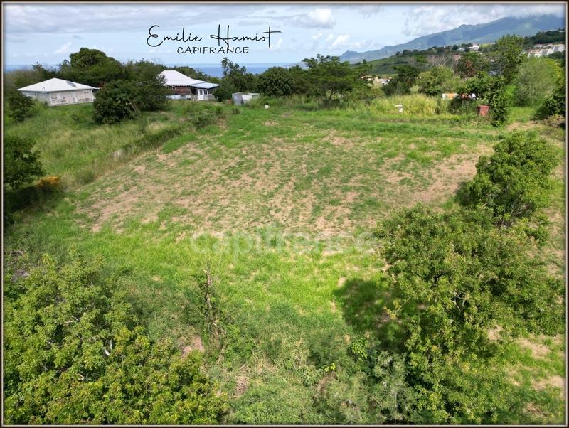 Terrain constructible - 1 919 m²