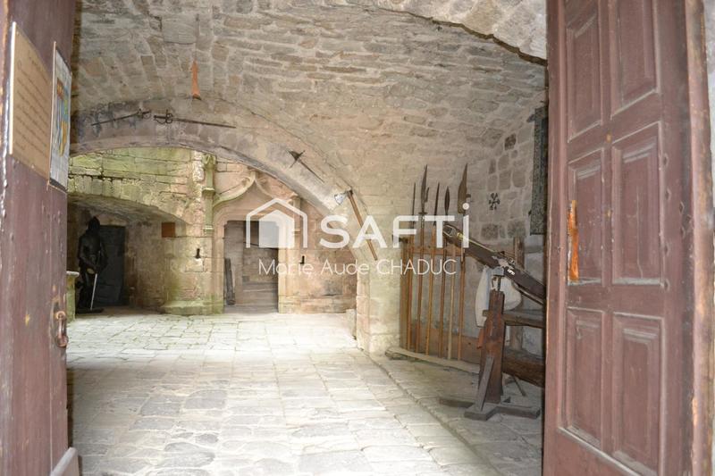 Château - 800 m² - 15 pièces