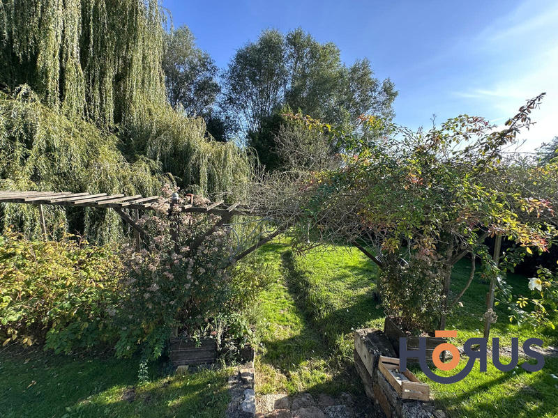 Viager - Maison ancienne - 180 m² - 5 pièces