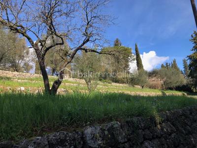 Terrain constructible - 1 066 m²