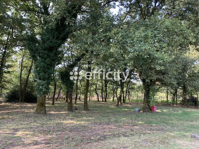 Maison - 201 m² - 7 pièces