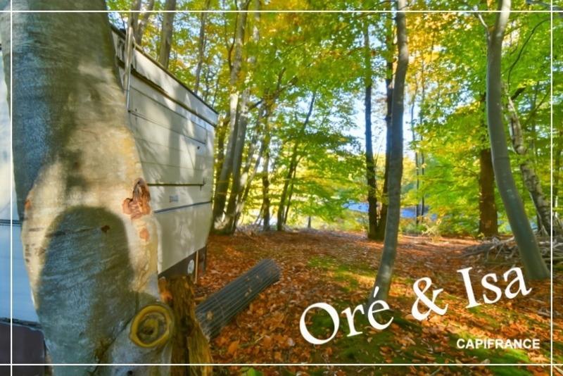 Terrain - 49 655 m²