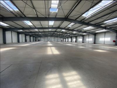 Entrepôt - 1 300 m²