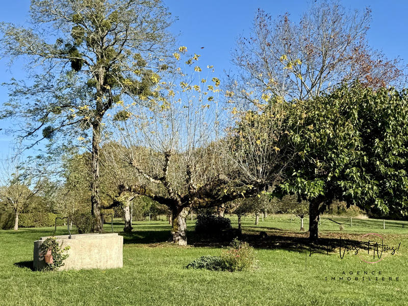 Maison ancienne - 224 m² - 5 pièces