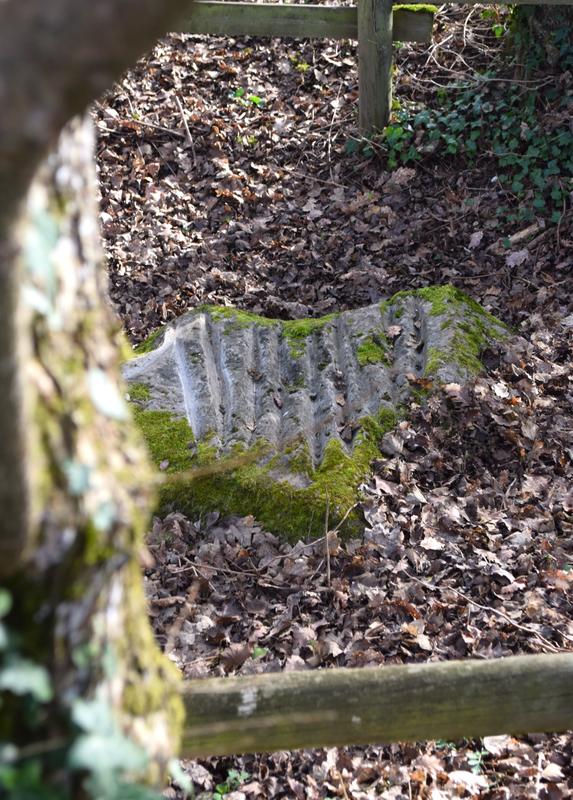 Balade découverte et visite de la Maison de la Préhistoire Othéenne