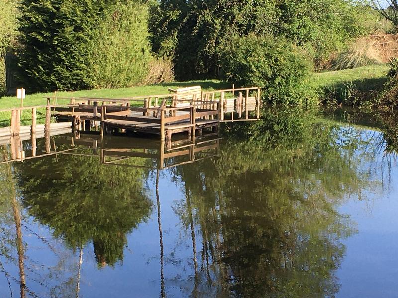 Terrain de loisirs - 3 977 m²