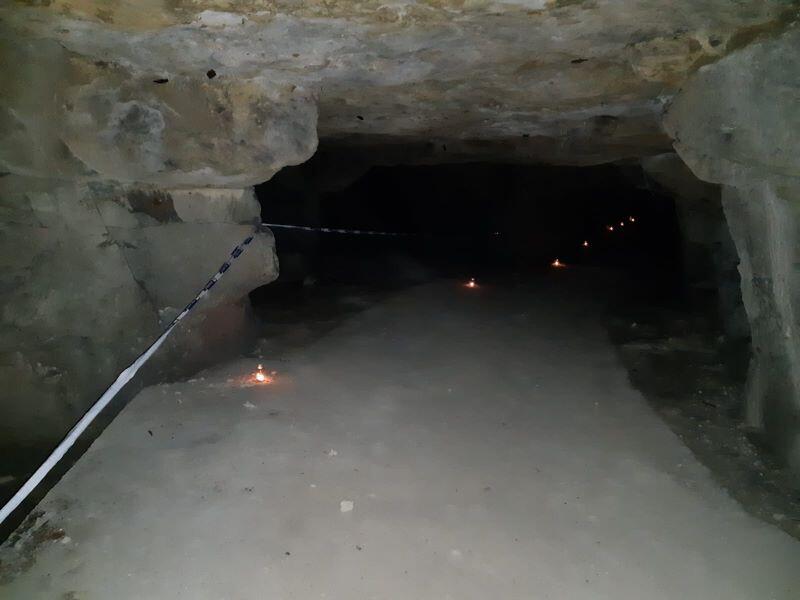 Nuit de la chauve-souris